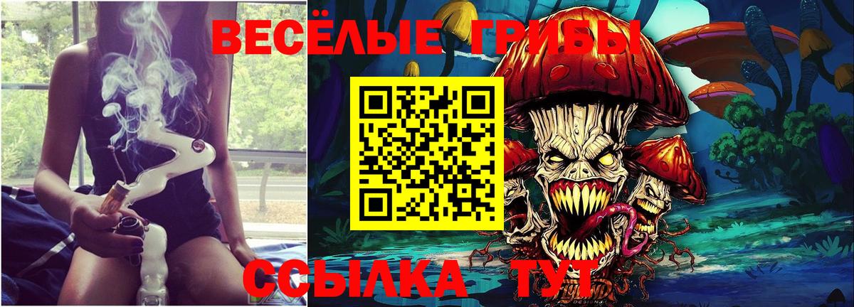 Псилоцибиновые грибы MAGIC MUSHROOMS  Вход с VPN  Торжок 